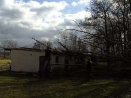 Sturm Emma 01.03.2008